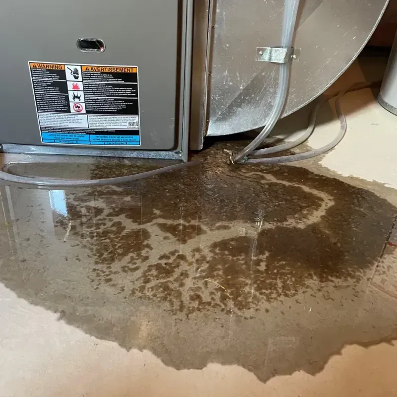 Appliance Leak Cleanup in Dacula, GA